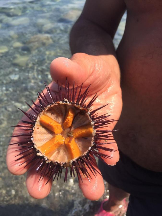 Il Vicoletto Panzió Frascineto Kültér fotó