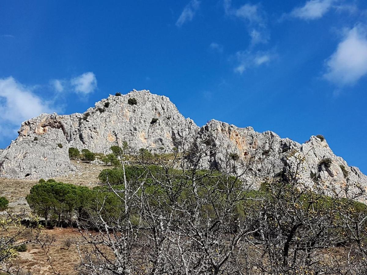 Il Vicoletto Panzió Frascineto Kültér fotó